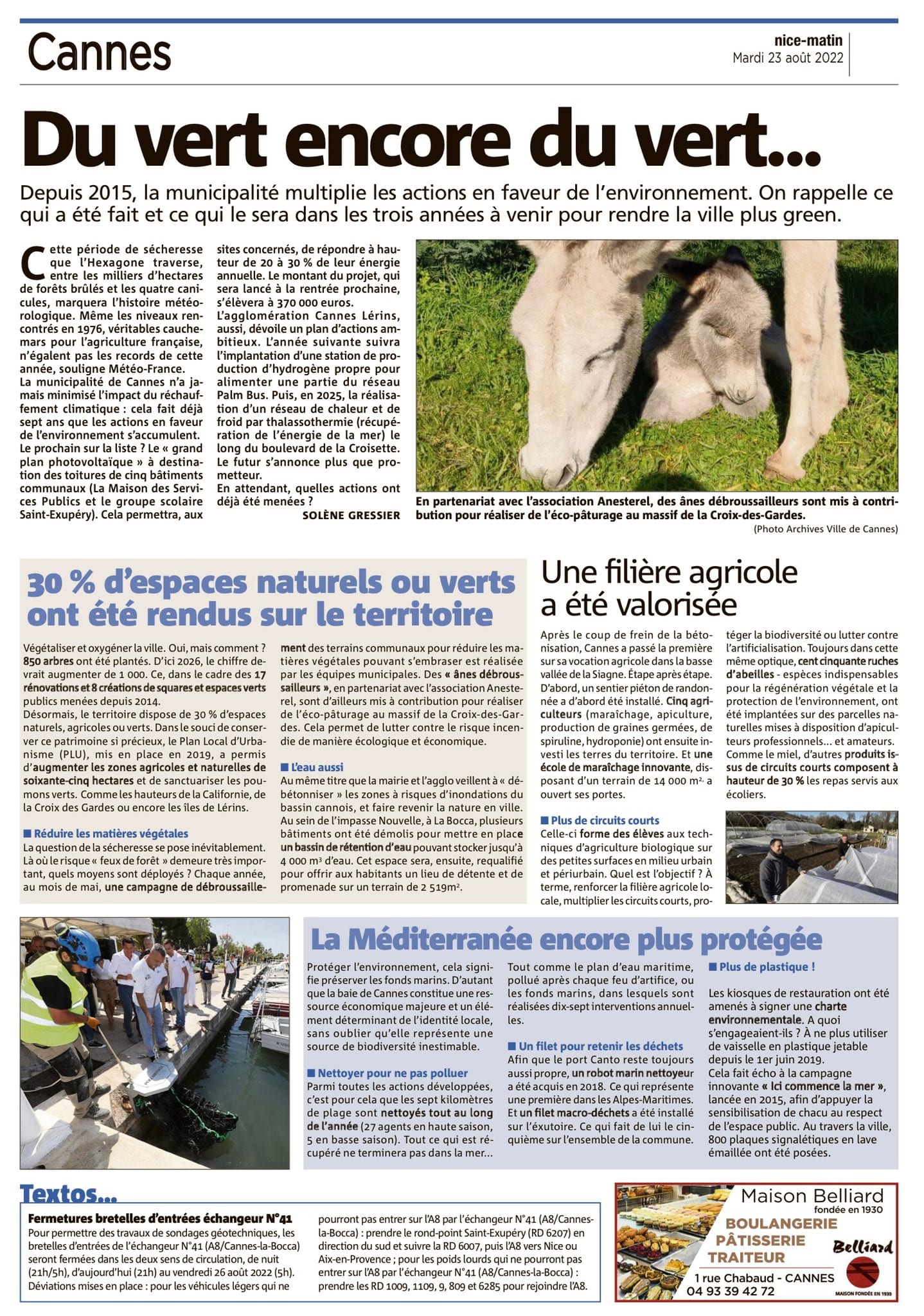 Cannes : du vert encore du vert...
