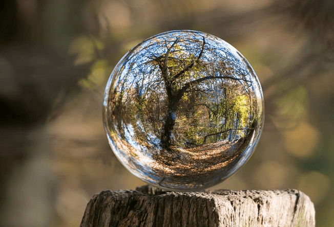 Nouvelle distinction pour l'agglo Cannes Pays de Lérins qui a reçu le label "Ville Durable et Innovante"