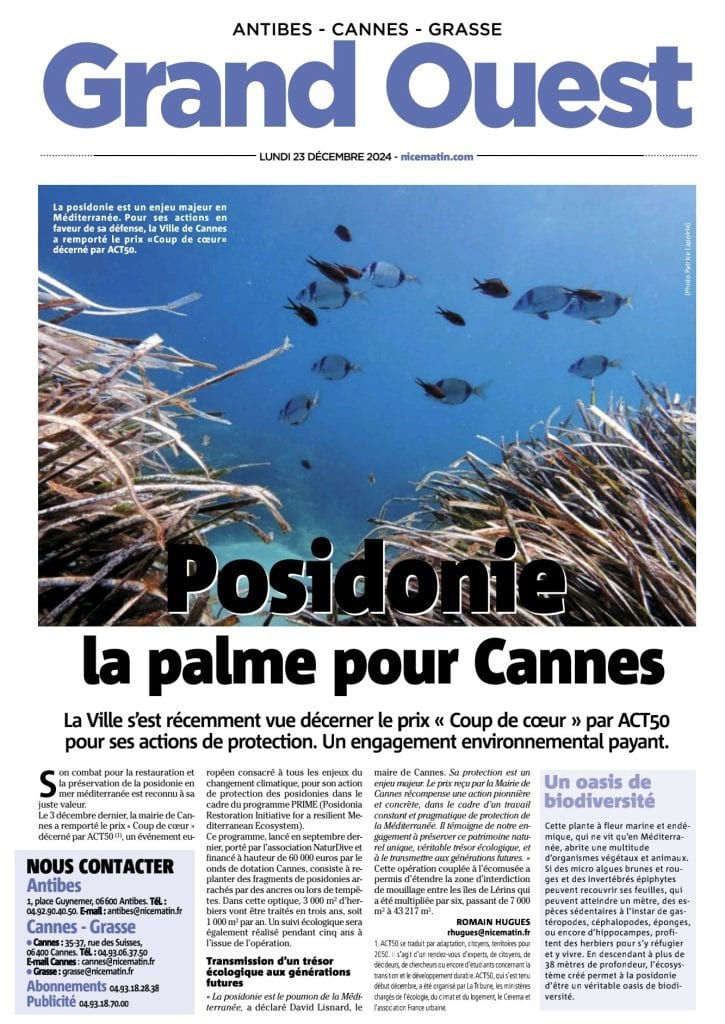 Protection de la posidonie : la palme pour Cannes ! — illustration 1