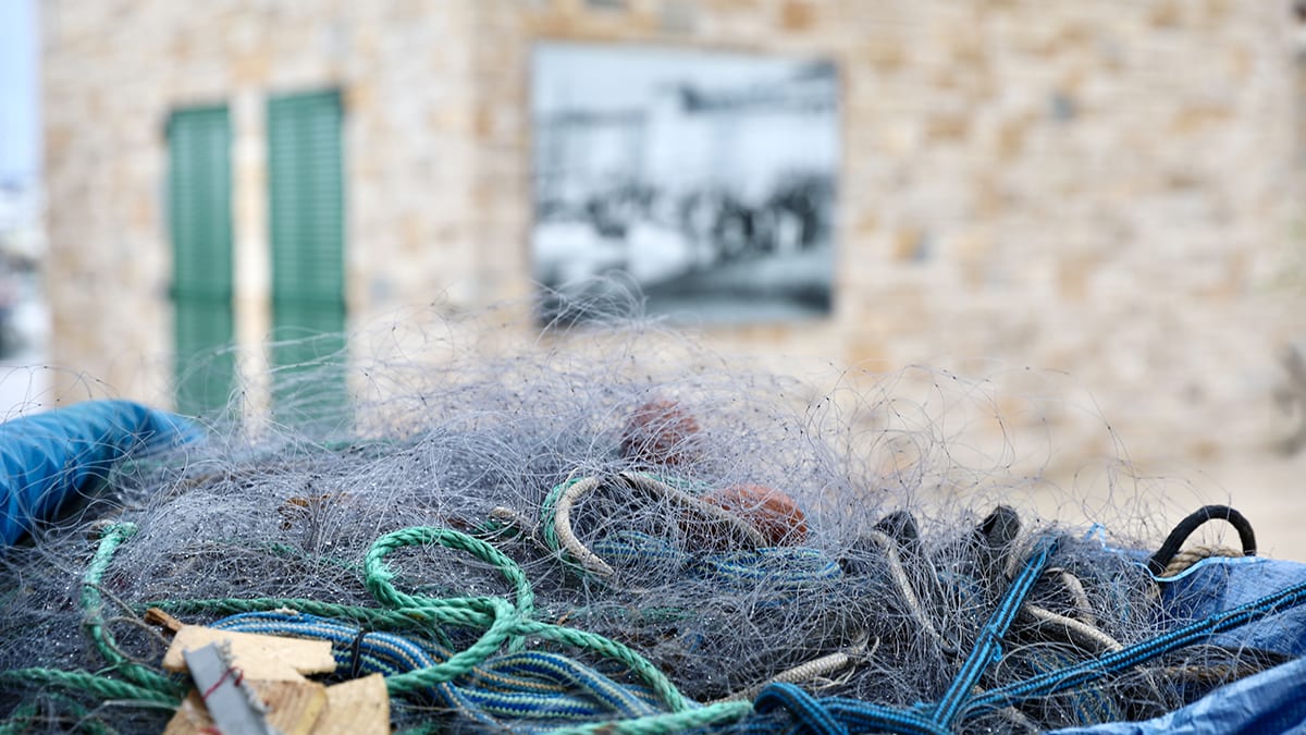 Le Conseil municipal de Cannes adopte une motion de soutien à la prud’homie de pêche de Cannes et aux pêcheurs professionnels de Méditerranée