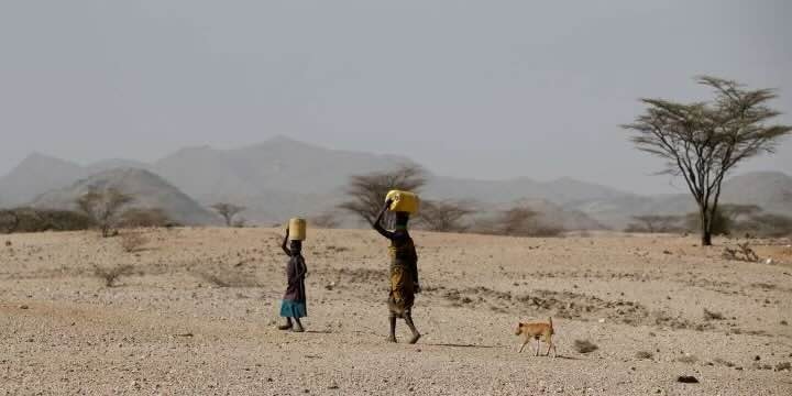 Le SICASIL soutient un projet humanitaire de désalinisation de l'eau au Kenya — illustration 1