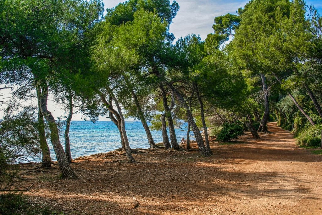 Environnement : comment David Lisnard protège les îles de Lérins — illustration 1
