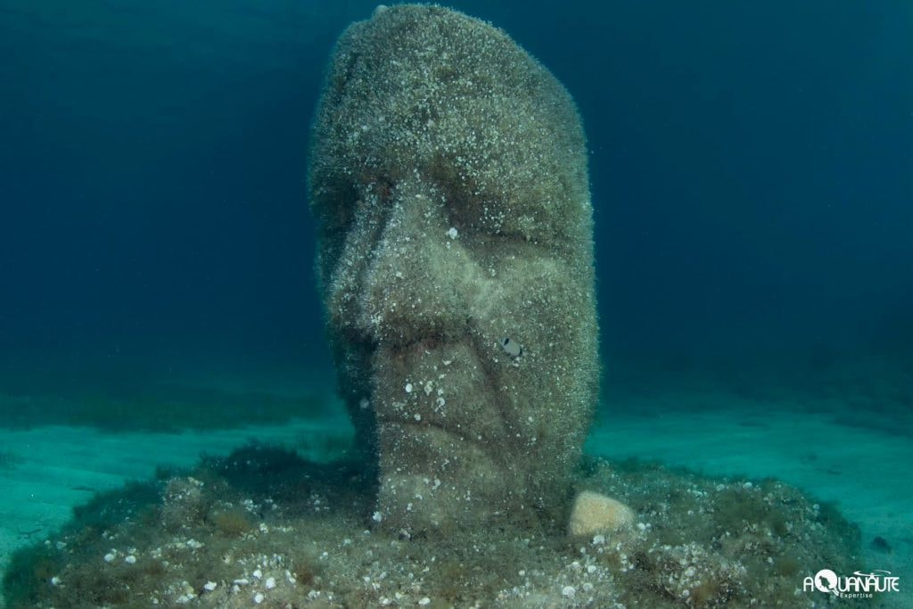 Environnement : comment David Lisnard protège les îles de Lérins — illustration 1