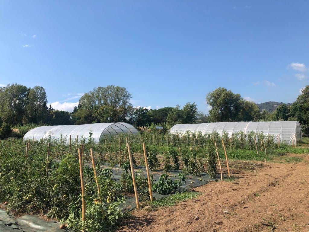 Ecole de maraîchage de la basse vallée de la Siagne : la croissance écologique concrète à Cannes