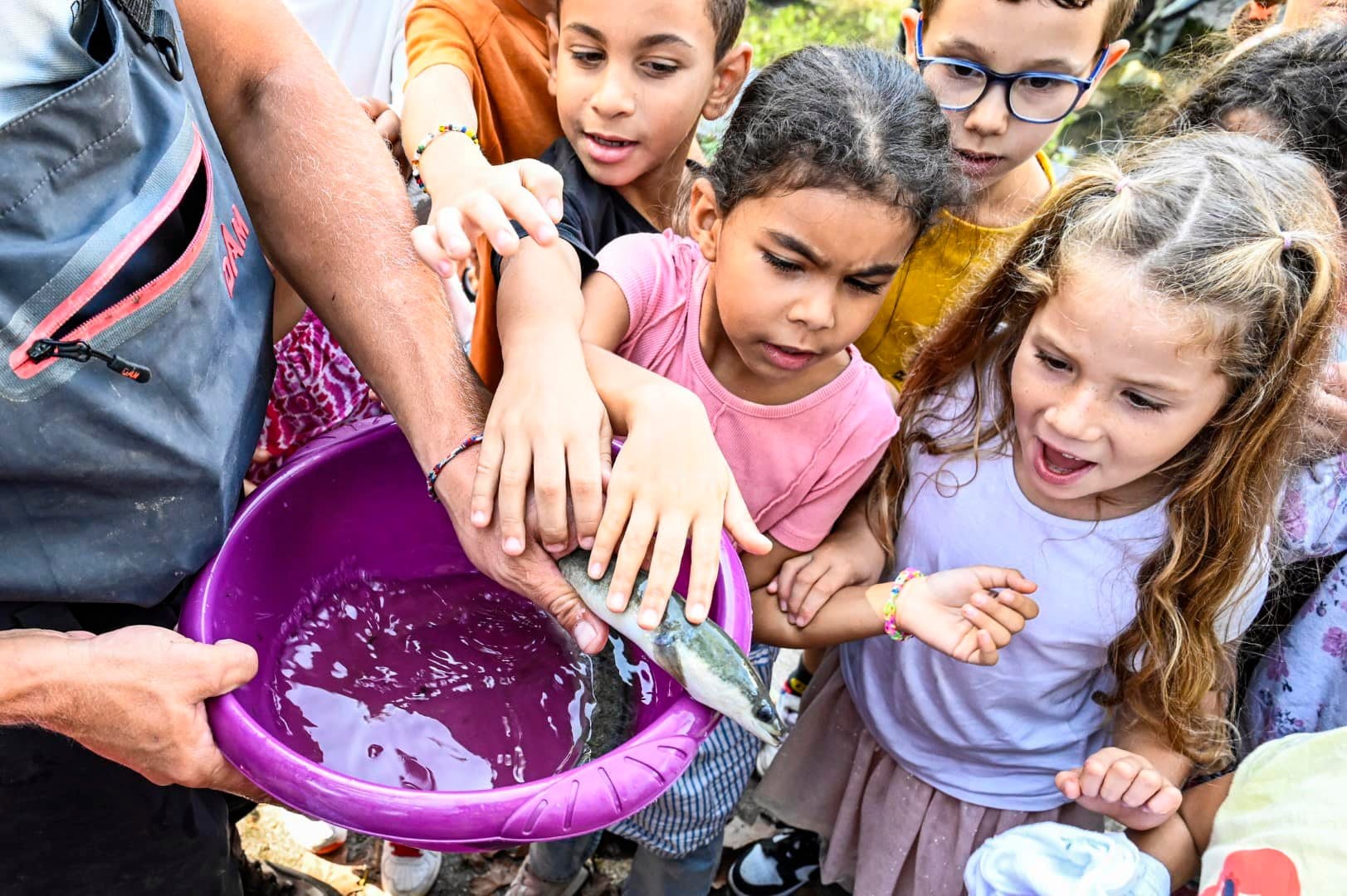 Protection de la biodiversité : l'Agglomération Cannes Lérins réalise une pêche de sauvegarde avant les travaux d'élargissement du cours d'eau de la Frayère
