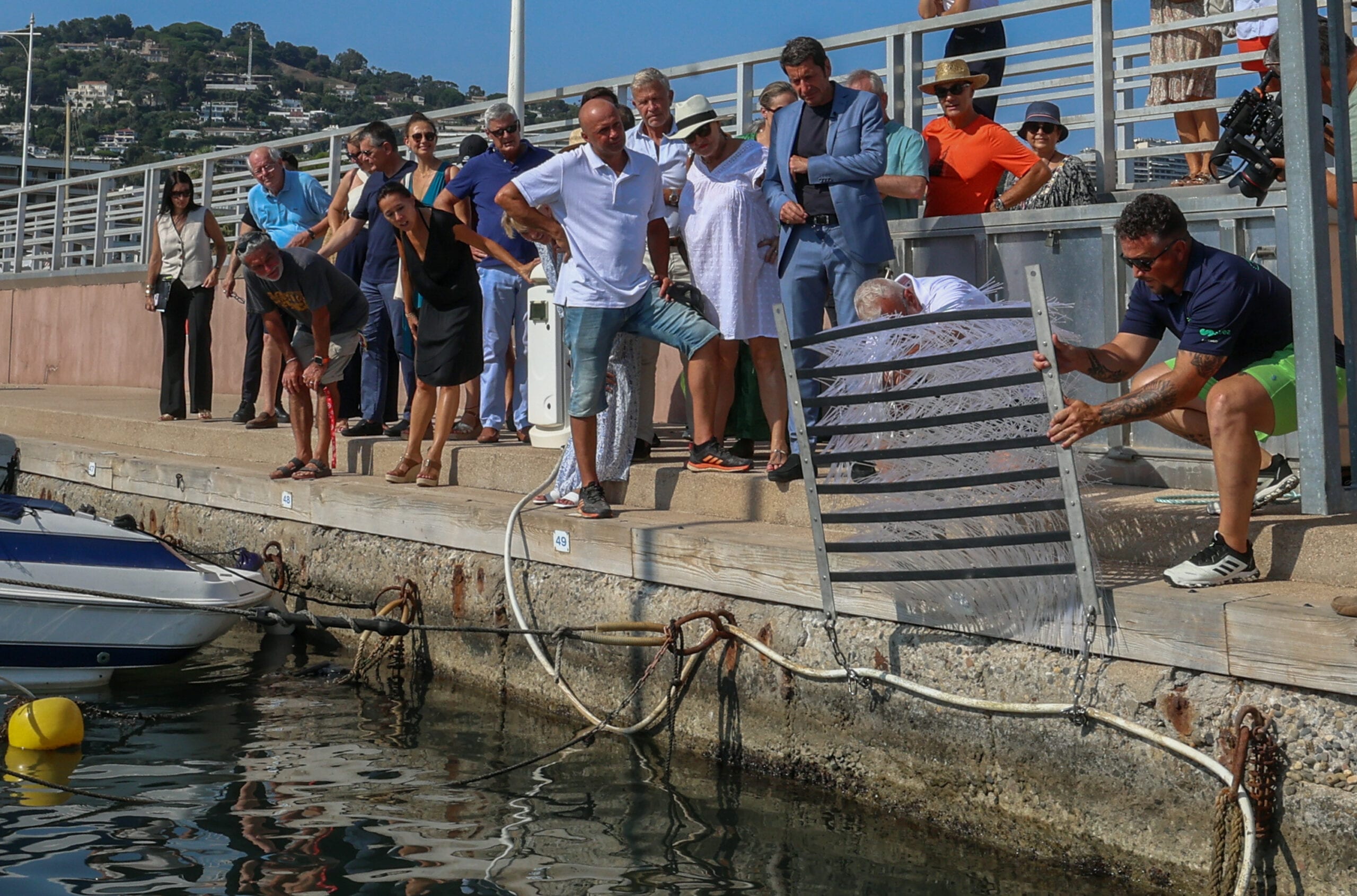 Protection de la biodiversité : la Mairie de Cannes installe 32 nurseries à poissons supplémentaires, portant le total à 110 dans les ports de Cannes !