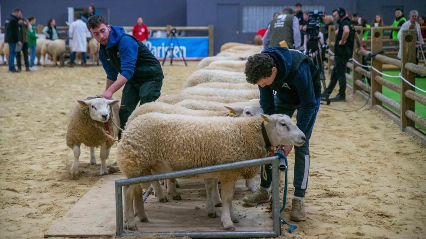 « Les agriculteurs ne demandent pas la charité mais la liberté d'entreprendre et une juste reconnaissance de leur labeur »