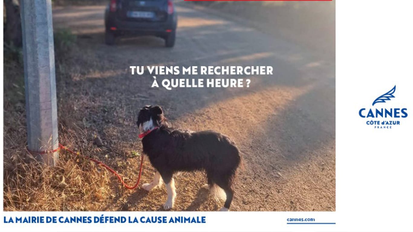 La Ville sensibilise à la cause animale cet été