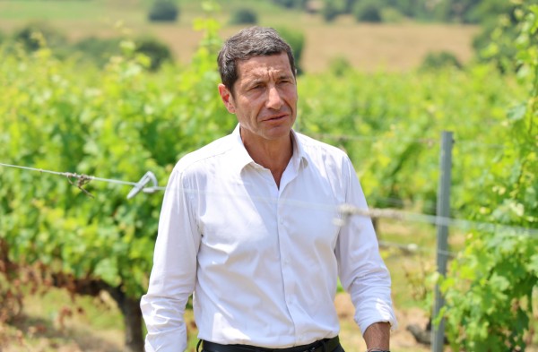David Lisnard en chemise blanche, avec en arrière-plan un champ de vignes