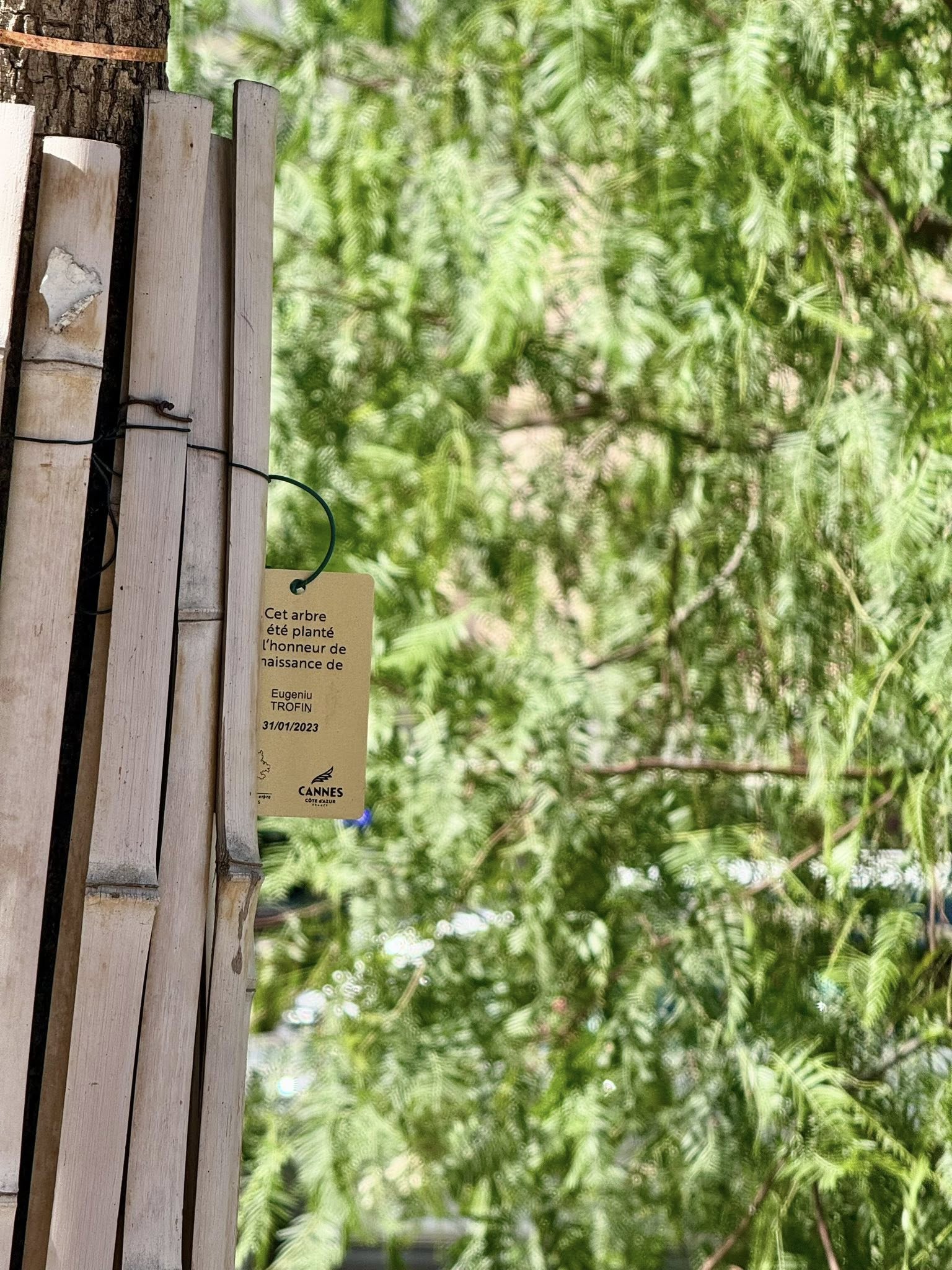 542155893_24536601462663124_1208638645804392103_n