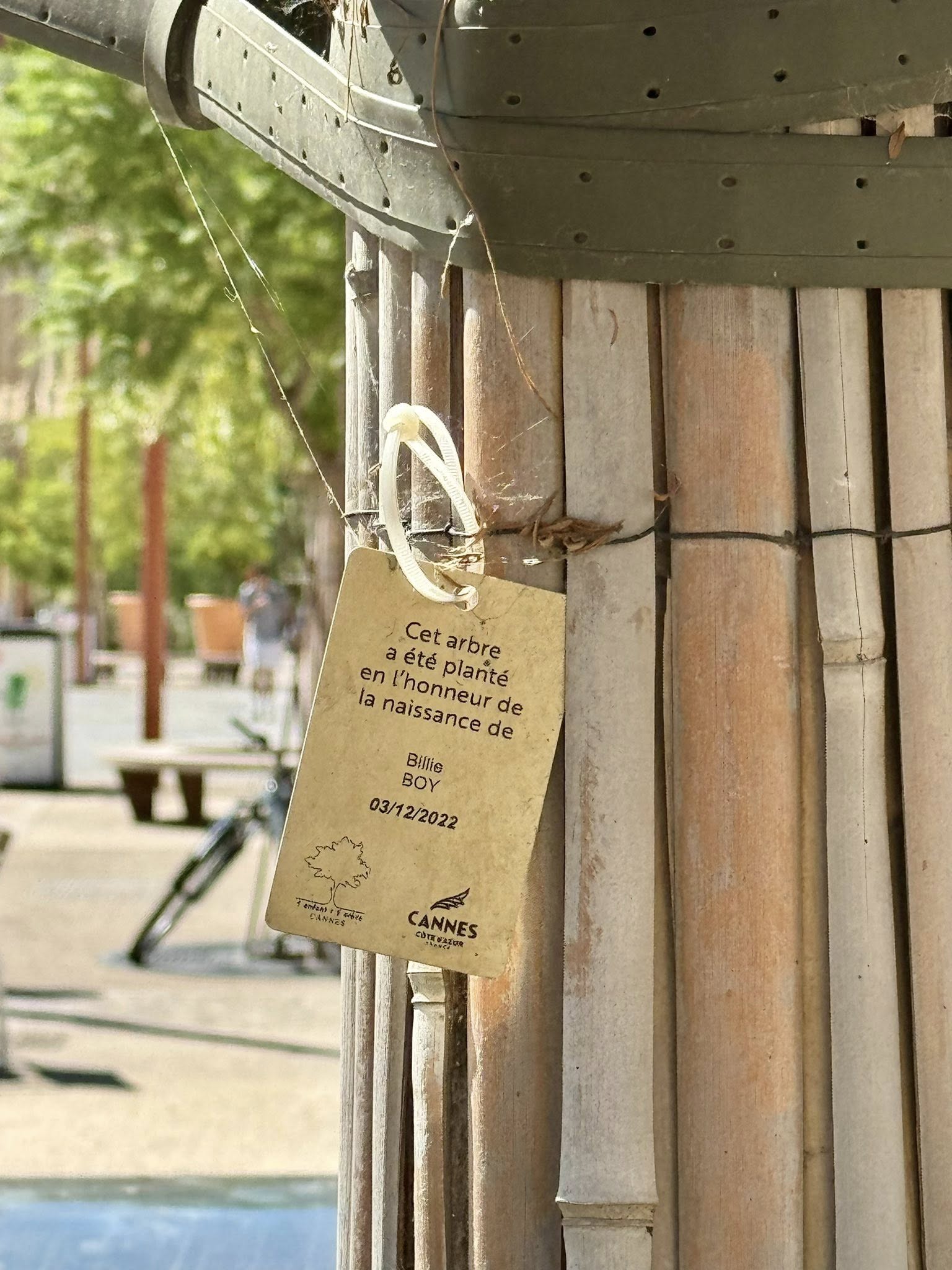 543424703_24536599915996612_6825611606103704094_n