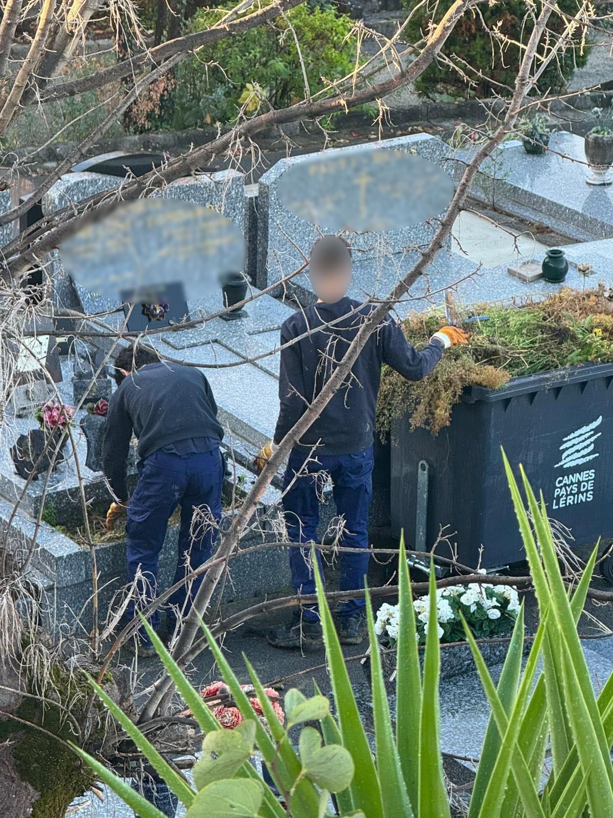 571222065_25007422305581035_762954515377161441_n