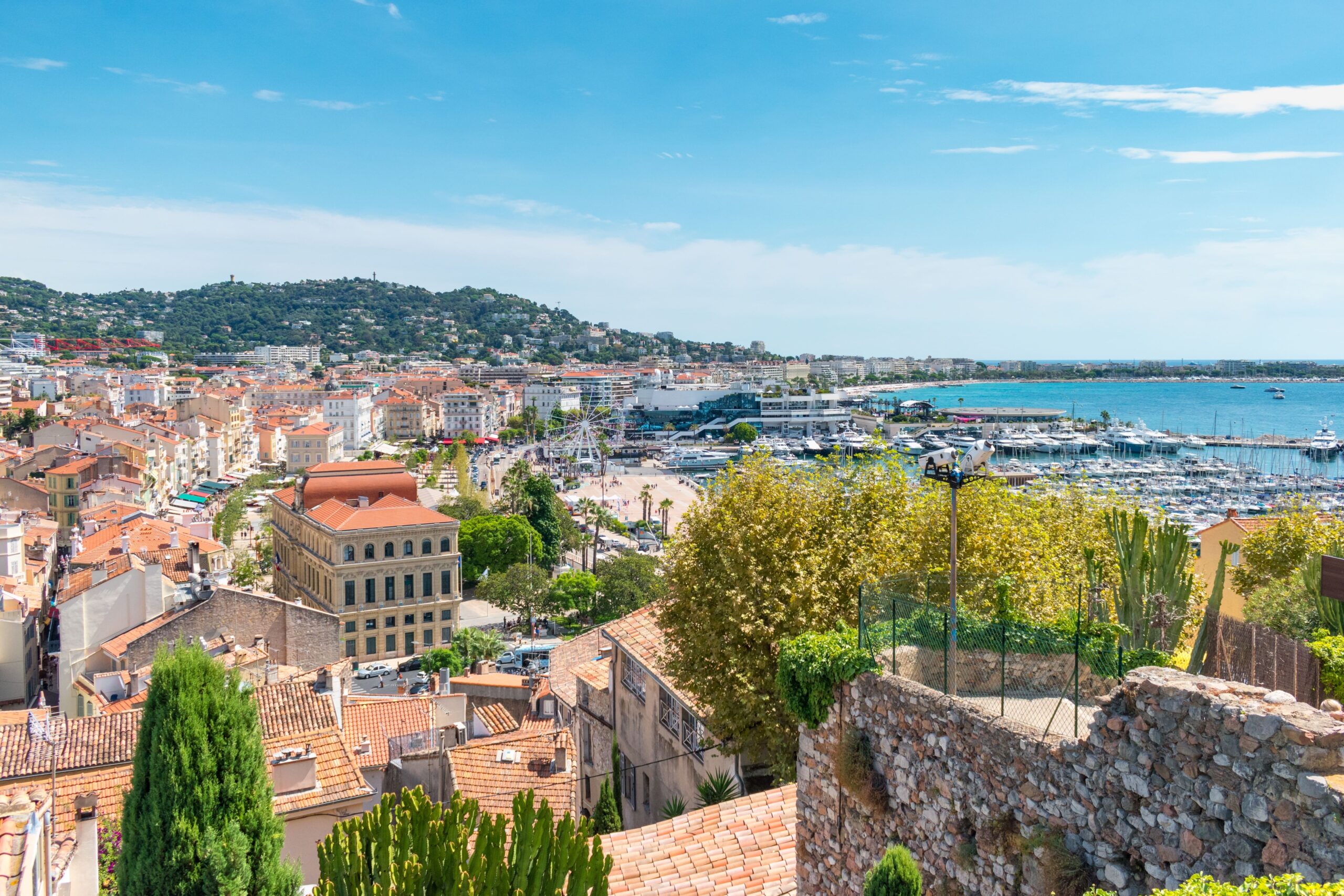 shutterstock_2602474111-min