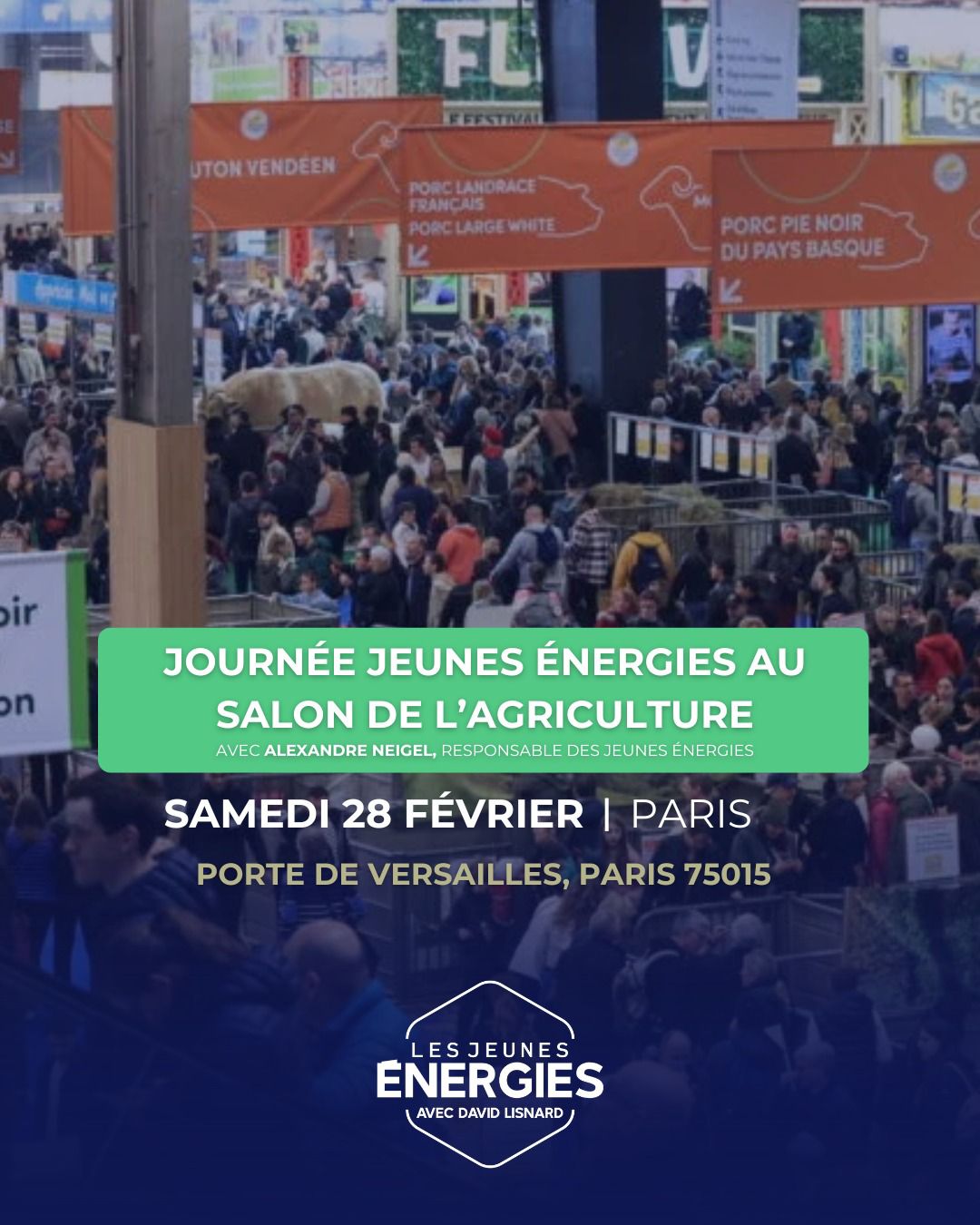 WhatsApp Image 2026-02-10 at 15.41.06